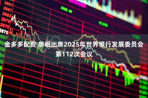 金多多配资 廖岷出席2025年世界银行发展委员会第112次会议
