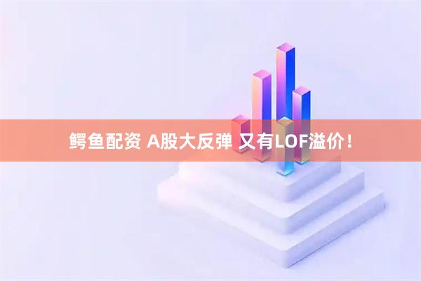 鳄鱼配资 A股大反弹 又有LOF溢价！