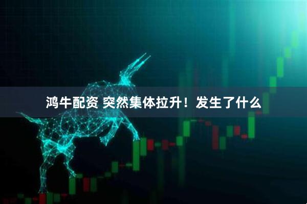 鸿牛配资 突然集体拉升！发生了什么