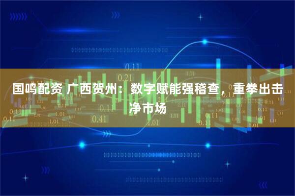 国鸣配资 广西贺州：数字赋能强稽查，重拳出击净市场